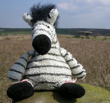 Beany Z at Lanyon Quoit