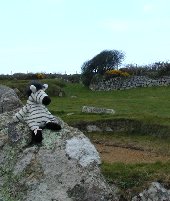 Beany Z at Carn Euny