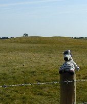 Sutton Hoo