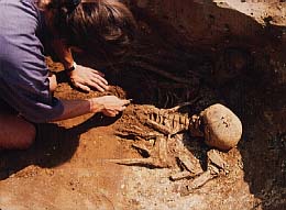 Excavating a skeleton