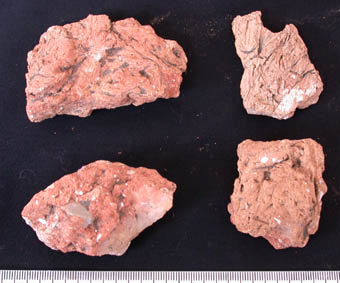 Fired clay fragments
